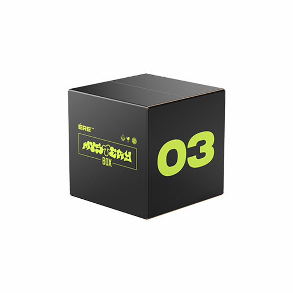 Mystery Box - Standard 03