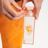 Eratigena Trinkflasche - Orange
